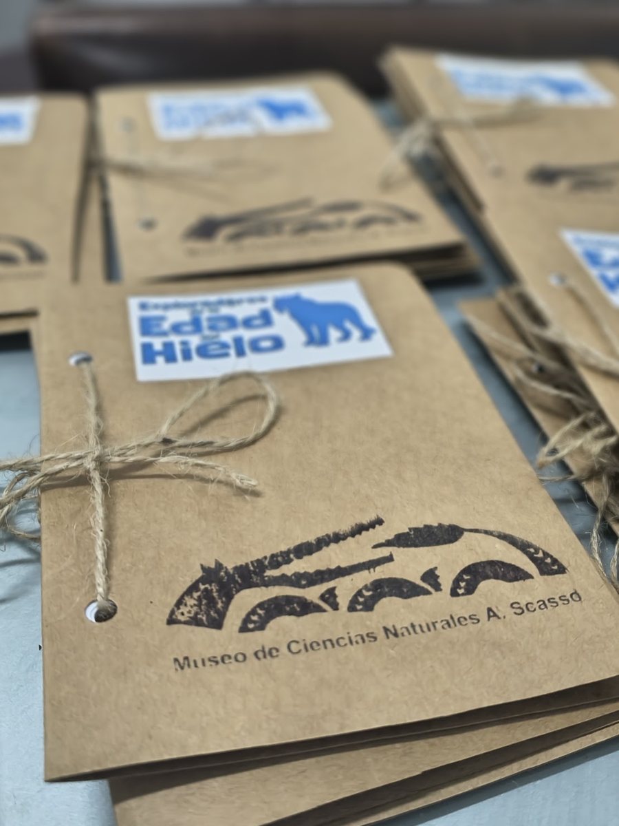 Materiales del taller